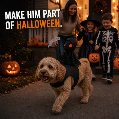 BooPaws Halloween