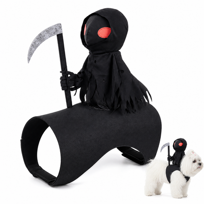 BooPaws Halloween