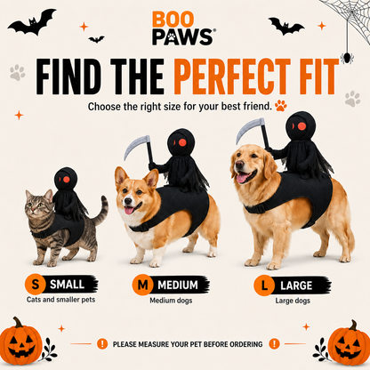 BooPaws Halloween